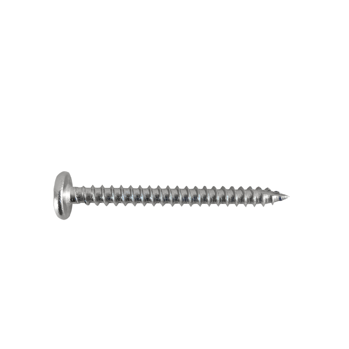 #10 2" STAINLESS STEEL PANCAKE SCREWS