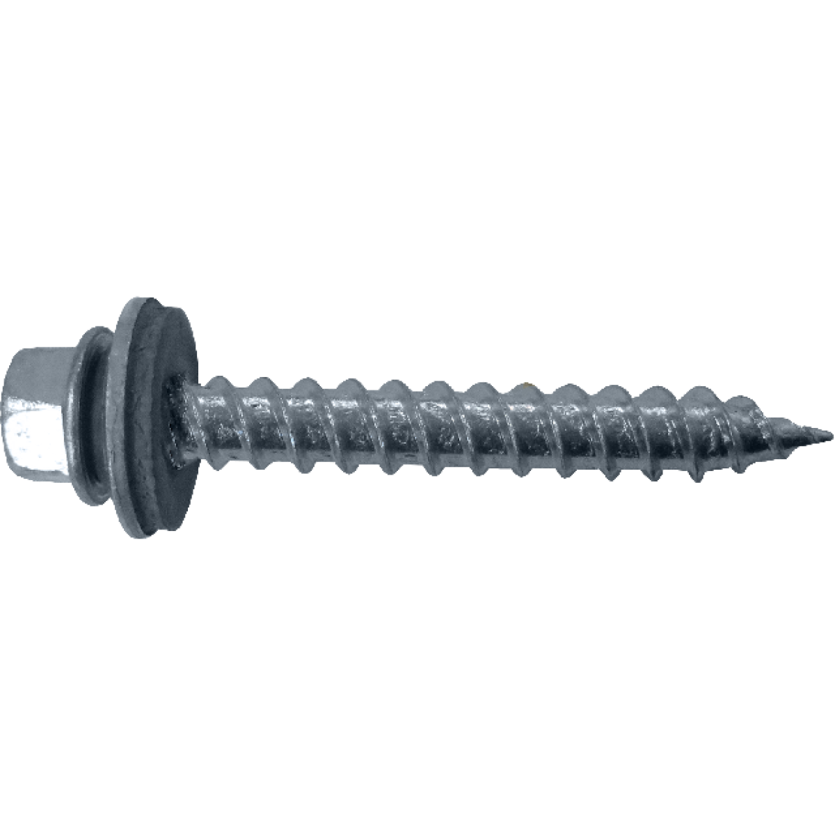 2" GALVANIZED SCREW
