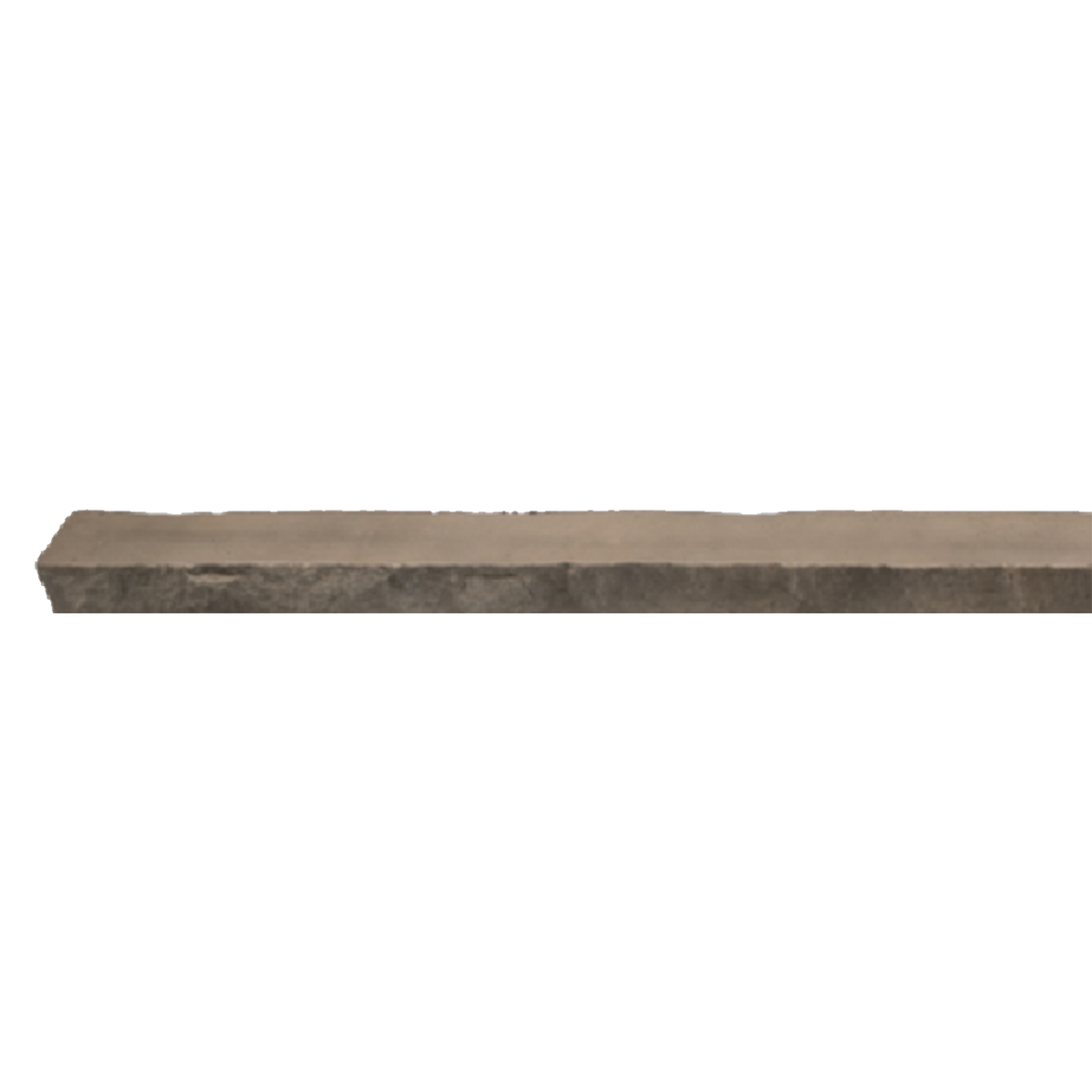 GENSTONE LEDGER